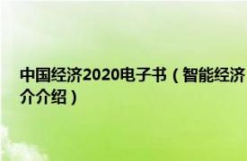 中国经济2020电子书（智能经济 2020年中信出版社出版图书相关内容简介介绍）