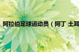 阿拉伯足球运动员（阿丁 土耳其足球运动员相关内容简介介绍）