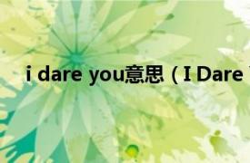 i dare you意思（I Dare You 歌曲相关内容简介介绍）