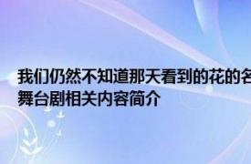 我们仍然不知道那天看到的花的名字2022年市川美织和鸟由纪主演的日本舞台剧相关内容简介