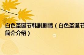 白色圣诞节韩剧剧情（白色圣诞节 韩国2011年金容秀导演电视剧相关内容简介介绍）