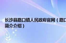 长沙县路口镇人民政府官网（路口镇 湖南省长沙市长沙县下辖镇相关内容简介介绍）