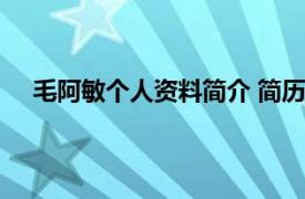 毛阿敏个人资料简介 简历（毛阿敏相关内容简介介绍）