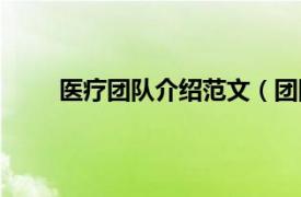 医疗团队介绍范文（团队医疗相关内容简介介绍）