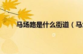 马场路是什么街道（马场街道相关内容简介介绍）