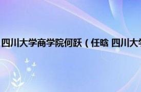 四川大学商学院何跃（任晗 四川大学商学院助理研究员相关内容简介介绍）