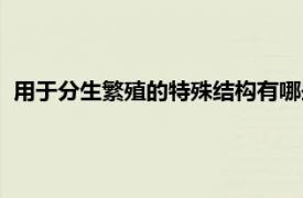 用于分生繁殖的特殊结构有哪些（分生繁殖相关内容简介介绍）