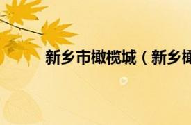 新乡市橄榄城（新乡橄榄城相关内容简介介绍）