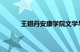 王翊丹安康学院文学与传媒学院教师内容简介