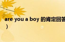 are you a boy 的肯定回答（I get a boy相关内容简介介绍）