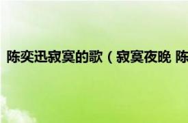 陈奕迅寂寞的歌（寂寞夜晚 陈奕迅翻唱歌曲相关内容简介介绍）