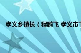 孝义乡镇长（程鹏飞 孝义市下栅乡副乡长相关内容简介介绍）