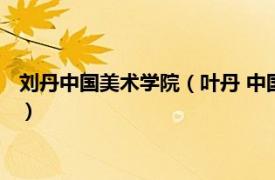 刘丹中国美术学院（叶丹 中国美术学院副教授相关内容简介介绍）