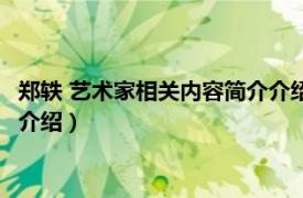 郑轶 艺术家相关内容简介介绍英文版（郑轶 艺术家相关内容简介介绍）