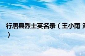 行唐县烈士英名录（王小雨 河北省行唐籍烈士相关内容简介介绍）