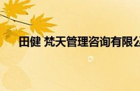 田健 梵天管理咨询有限公司总经理相关内容简介介绍