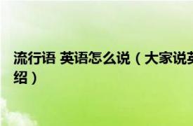 流行语 英语怎么说（大家说英语新流行英语口语相关内容简介介绍）