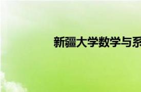 新疆大学数学与系统科学学院讲师简介