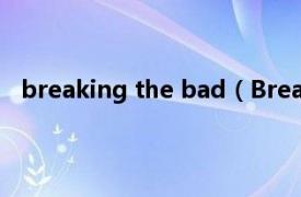 breaking the bad（Breaking Bad相关内容简介介绍）