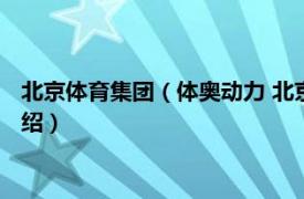 北京体育集团（体奥动力 北京体育传播有限公司相关内容简介介绍）