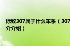 标致307属于什么车系（307 标致汽车中的一款车型相关内容简介介绍）