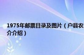 1975年邮票目录及图片（户县农民画 1974年发行的特种邮票相关内容简介介绍）