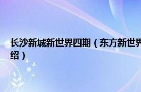 长沙新城新世界四期（东方新世界 长沙市东方新世界楼盘相关内容简介介绍）