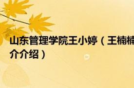 山东管理学院王小婷（王楠楠 山东大学管理学院教授相关内容简介介绍）