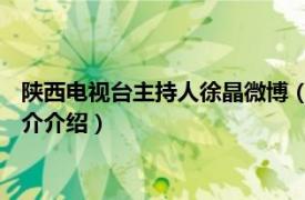 陕西电视台主持人徐晶微博（徐晶 陕西电视台主持人相关内容简介介绍）