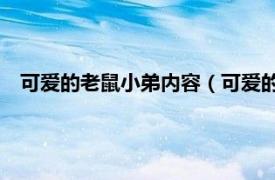 可爱的老鼠小弟内容（可爱的鼠小弟1-12相关内容简介介绍）