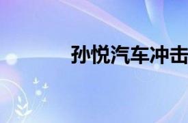 孙悦汽车冲击门相关内容介绍