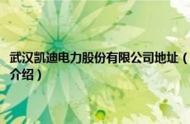 武汉凯迪电力股份有限公司地址（武汉凯迪电力环保有限公司相关内容简介介绍）