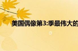 美国偶像第3:季最伟大的灵魂经典相关内容简介介绍