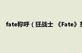 fate称呼（狂战士 《Fate》系列中的用语相关内容简介介绍）