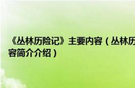 《丛林历险记》主要内容（丛林历险记 2020年电影《丛林历险记》相关内容简介介绍）