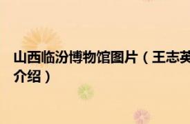 山西临汾博物馆图片（王志英 临汾市博物馆副馆长相关内容简介介绍）