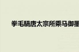 拳毛騧唐太宗所乘马御墨亲题其下相关内容简介介绍