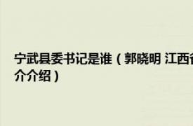 宁武县委书记是谁（郭晓明 江西省武宁县武宁县人民政府县长相关内容简介介绍）