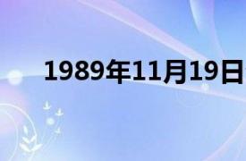 1989年11月19日介绍了相关内容简介