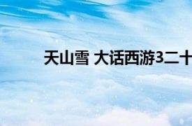 天山雪 大话西游3二十四主角相关内容简介介绍