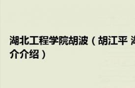 湖北工程学院胡波（胡江平 湖北工程职业学院副教授相关内容简介介绍）