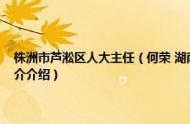 株洲市芦淞区人大主任（何荣 湖南省株洲市芦淞区民政局局长相关内容简介介绍）