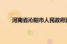 河南省沁阳市人民政府副市长李宁宁相关内容简介