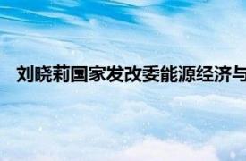 刘晓莉国家发改委能源经济与发展战略研究中心相关内容简介