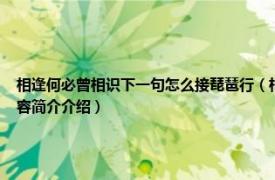 相逢何必曾相识下一句怎么接琵琶行（相逢何必曾相识 白居易诗《琵琶行》句子相关内容简介介绍）