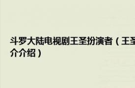 斗罗大陆电视剧王圣扮演者（王圣 电视剧《斗罗大陆》的人物相关内容简介介绍）