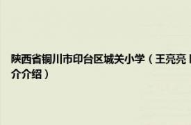 陕西省铜川市印台区城关小学（王亮亮 陕西省铜川市印台区城关街道办居民相关内容简介介绍）