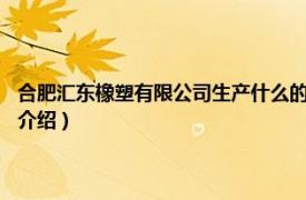 合肥汇东橡塑有限公司生产什么的?（东海橡塑 合肥有限公司相关内容简介介绍）