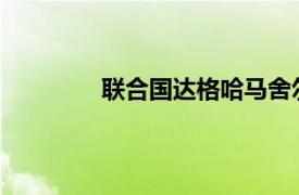 联合国达格哈马舍尔德勋章相关内容简介