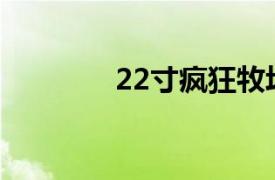 22寸疯狂牧场相关内容介绍